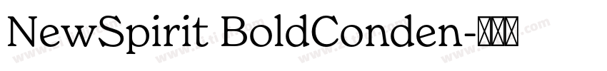 NewSpirit BoldConden字体转换